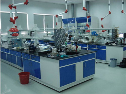 實(shí)驗(yàn)臺多少錢 實(shí)驗(yàn)臺 就選塘樹科技 查看